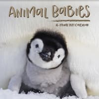 image Animal Babies 2027 Wall Calendar Main Product Image