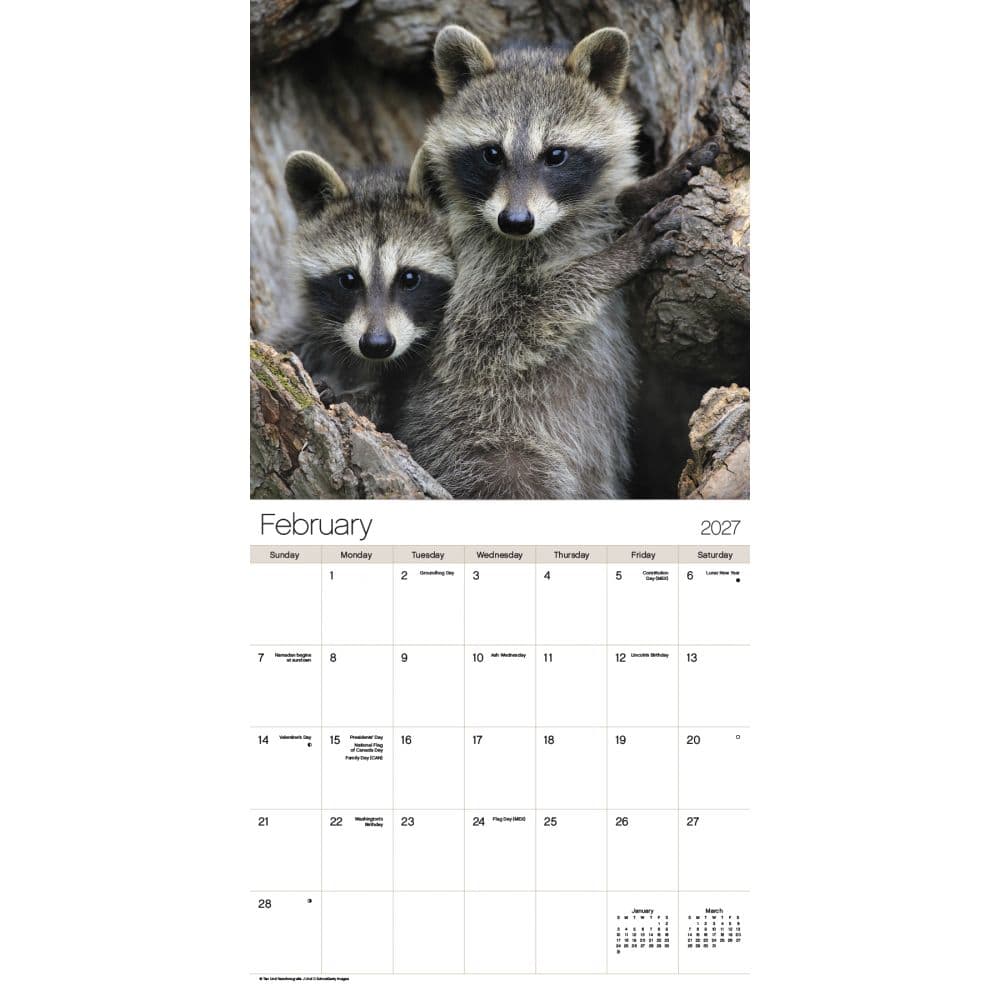 Animal Babies 2027 Wall Calendar Second Alternate Image