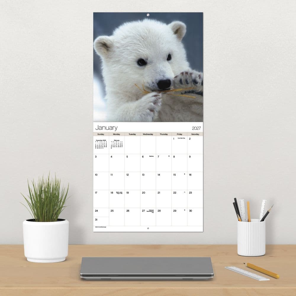 Animal Babies 2027 Wall Calendar Fourth Alternate Image