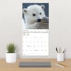 image Animal Babies 2027 Wall Calendar Fourth Alternate Image