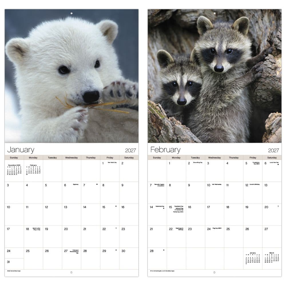 Animal Babies 2027 Wall Calendar Fifth Alternate Image