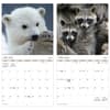 image Animal Babies 2027 Wall Calendar Fifth Alternate Image