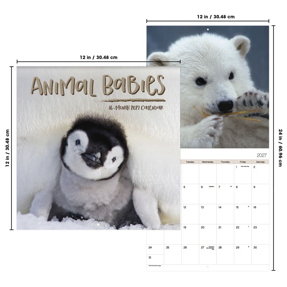 Animal Babies 2027 Wall Calendar Sixth Alternate Image