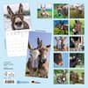 image Donkeys 2027 Wall Calendar First Alternate Image