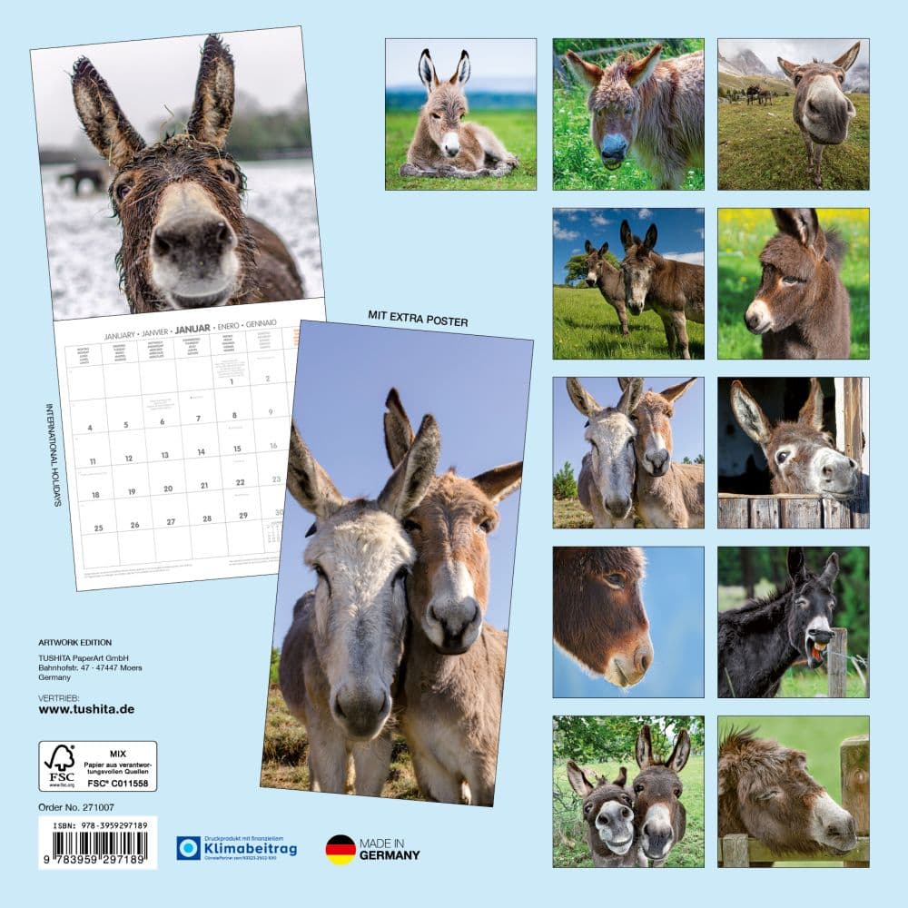 Donkeys 2027 Wall Calendar First Alternate Image
