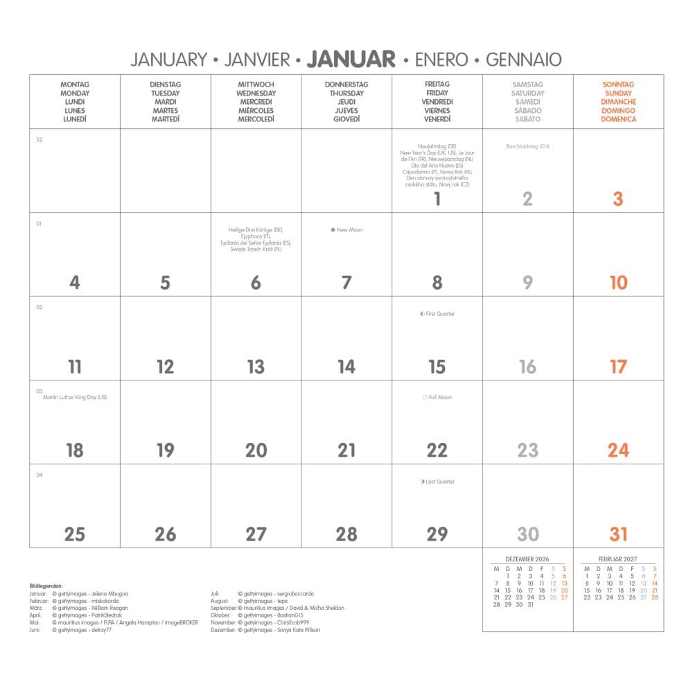 Donkeys 2027 Wall Calendar Third Alternate Image