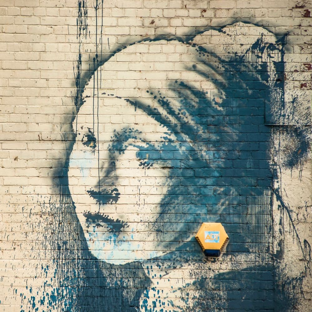 Banksy 2027 Wall Calendar Second Alternate Image