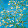 image van Gogh From Vincents Garden 2027 Wall Calendar Tenth Alternate Image