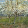 image van Gogh From Vincents Garden 2027 Wall Calendar Sixth Alternate Image