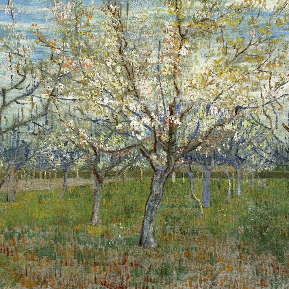 van Gogh From Vincents Garden 2027 Wall Calendar Sixth Alternate Image