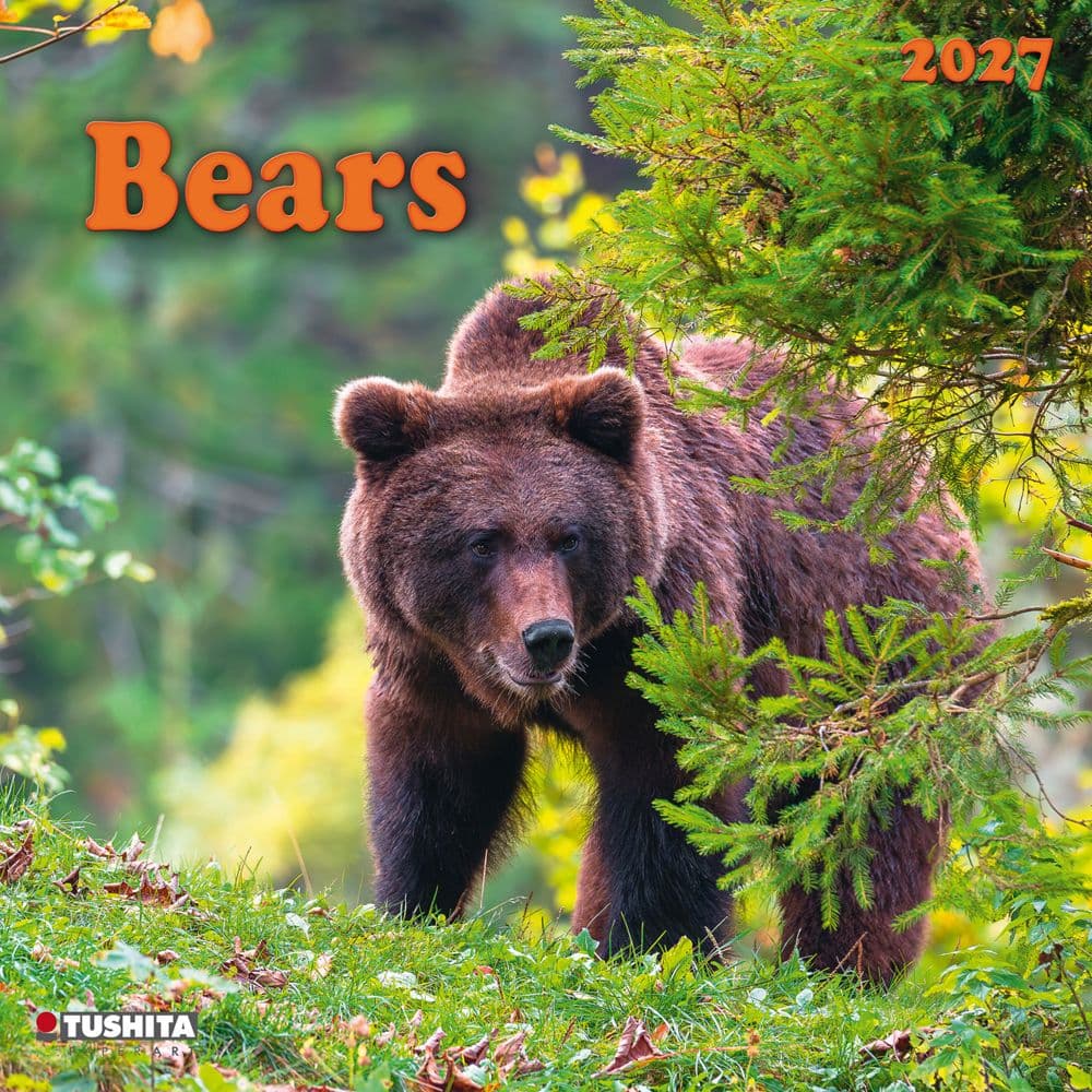 Bears 2027 Wall Calendar Main Product Image