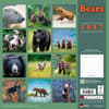 image Bears 2027 Wall Calendar First Alternate Image