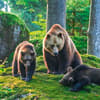 image Bears 2027 Wall Calendar Fourth Alternate Image