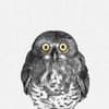 image Animal Portrait 2027 Wall Calendar Fourth Alternate Image