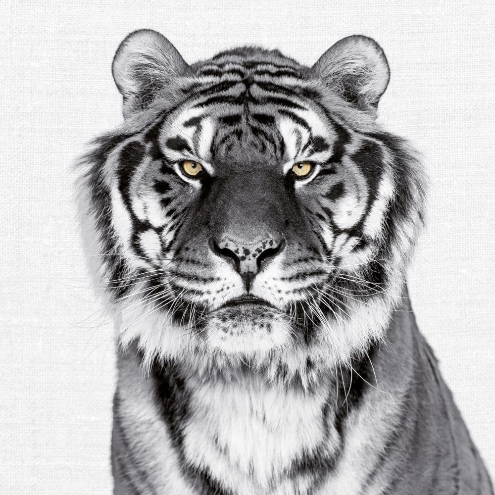 Animal Portrait 2027 Wall Calendar Eighth Alternate Image