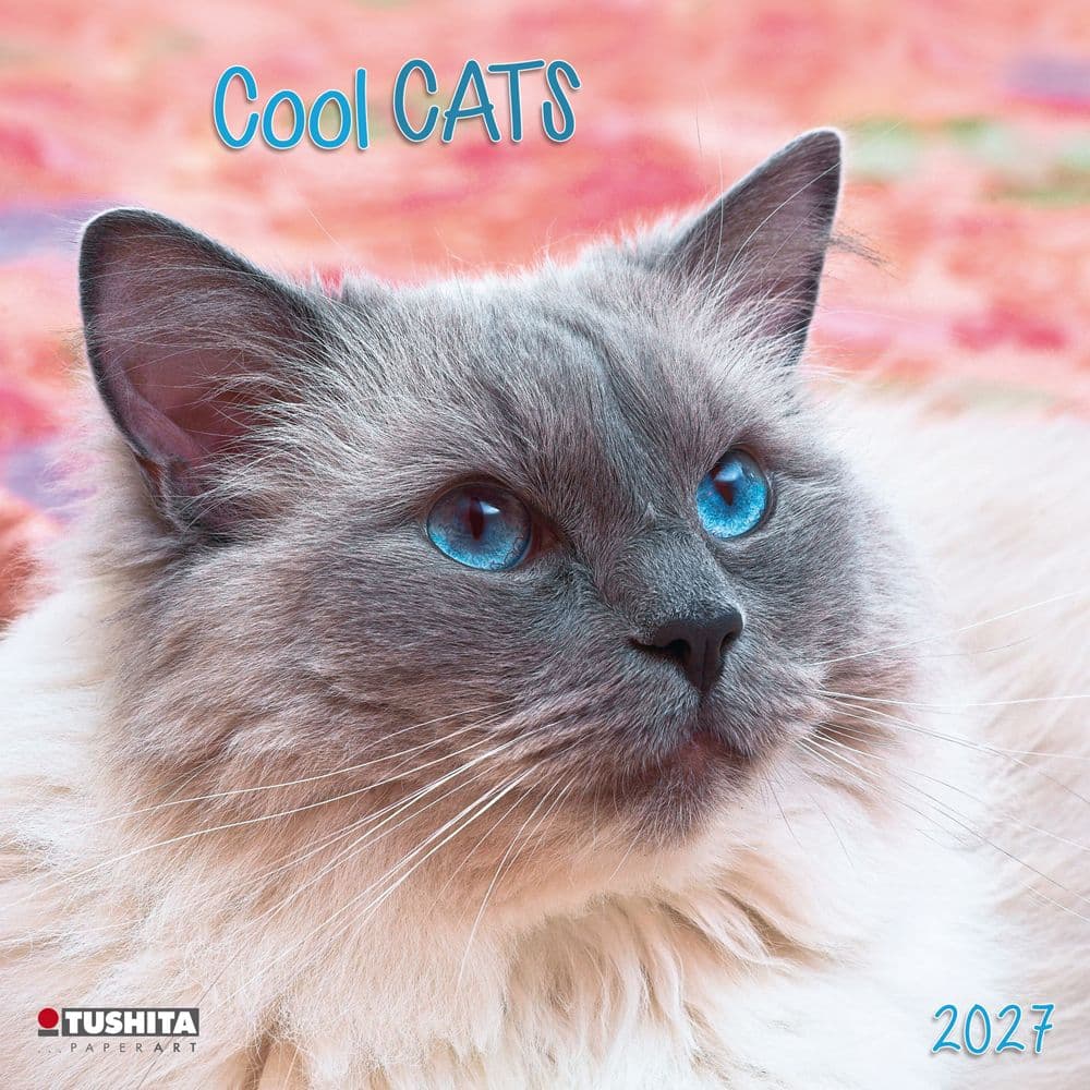 Cool Cats 2027 Wall Calendar Main Product Image