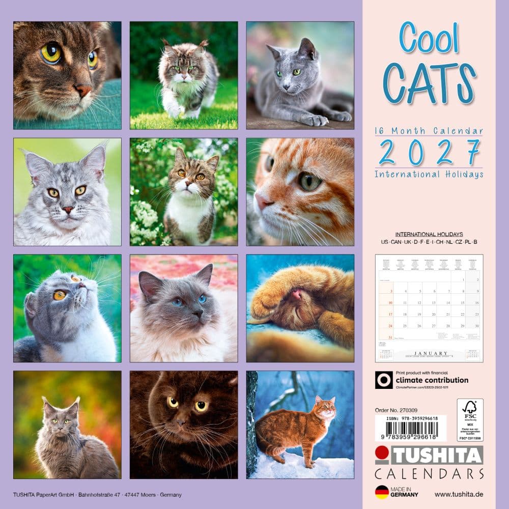 Cool Cats 2027 Wall Calendar First Alternate Image