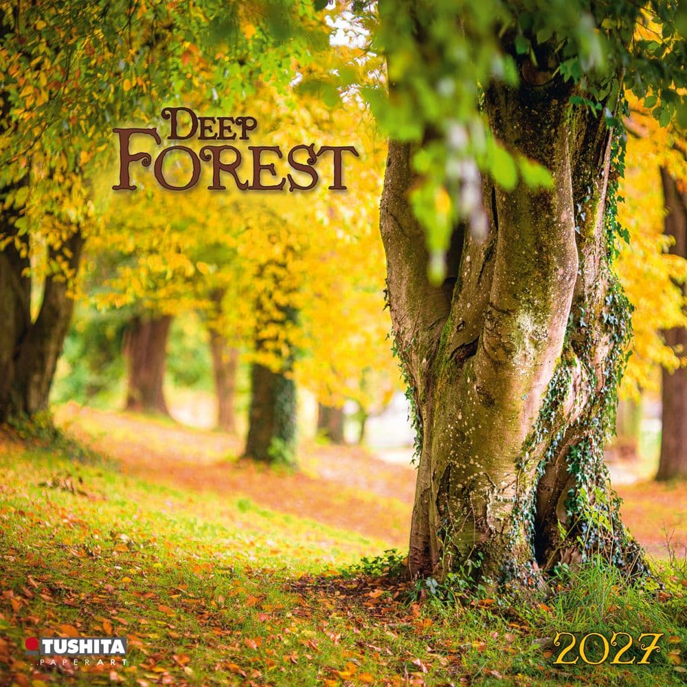 Deep Forest 2027 Wall Calendar Main Product Image