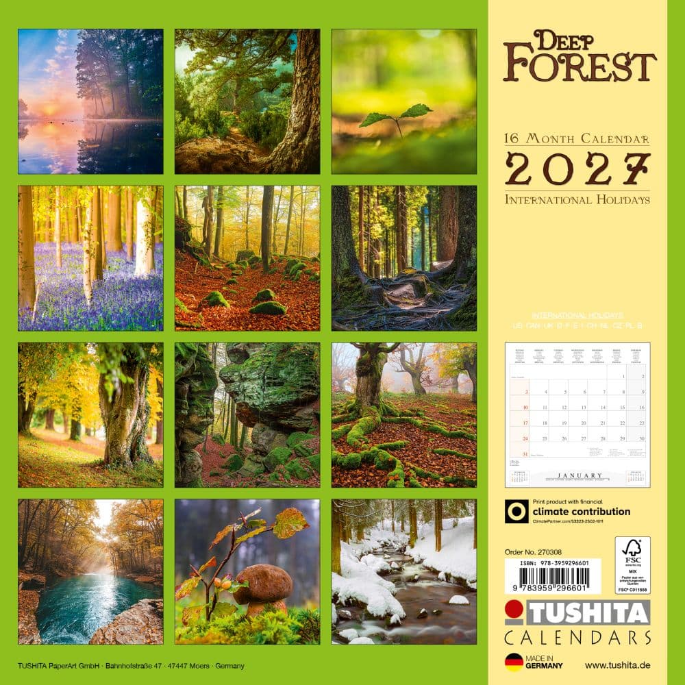 Deep Forest 2027 Wall Calendar First Alternate Image