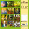 image Deep Forest 2027 Wall Calendar First Alternate Image