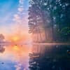 image Deep Forest 2027 Wall Calendar Second Alternate Image