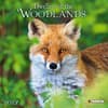 image Dwellers of the Woodlands 2027 Wall Calendar Main Product Image