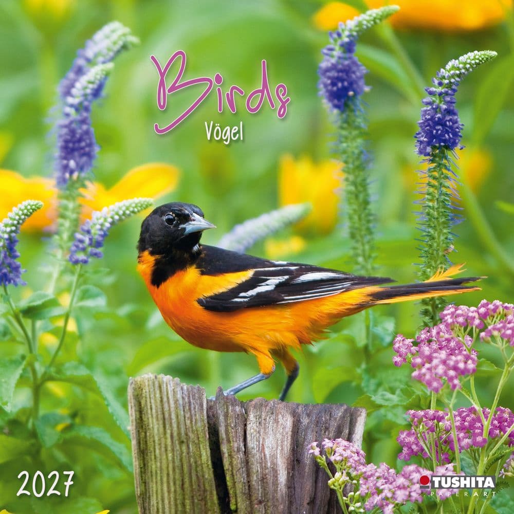 Birds 2027 Wall Calendar Main Product Image