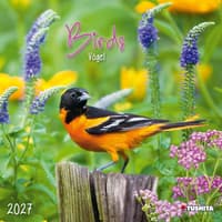 image Birds 2027 Wall Calendar Main Product Image