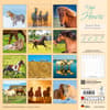 image Magic Horses 2027 Wall Calendar First Alternate Image