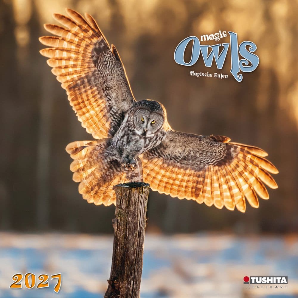 Magic Owls 2027 Wall Calendar Main Product Image