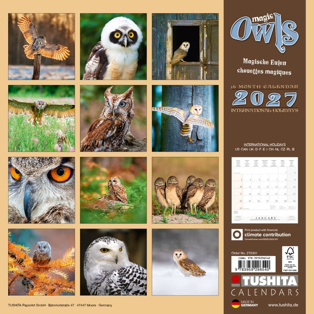 Magic Owls 2027 Wall Calendar First Alternate Image