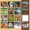 image Magic Owls 2027 Wall Calendar First Alternate Image