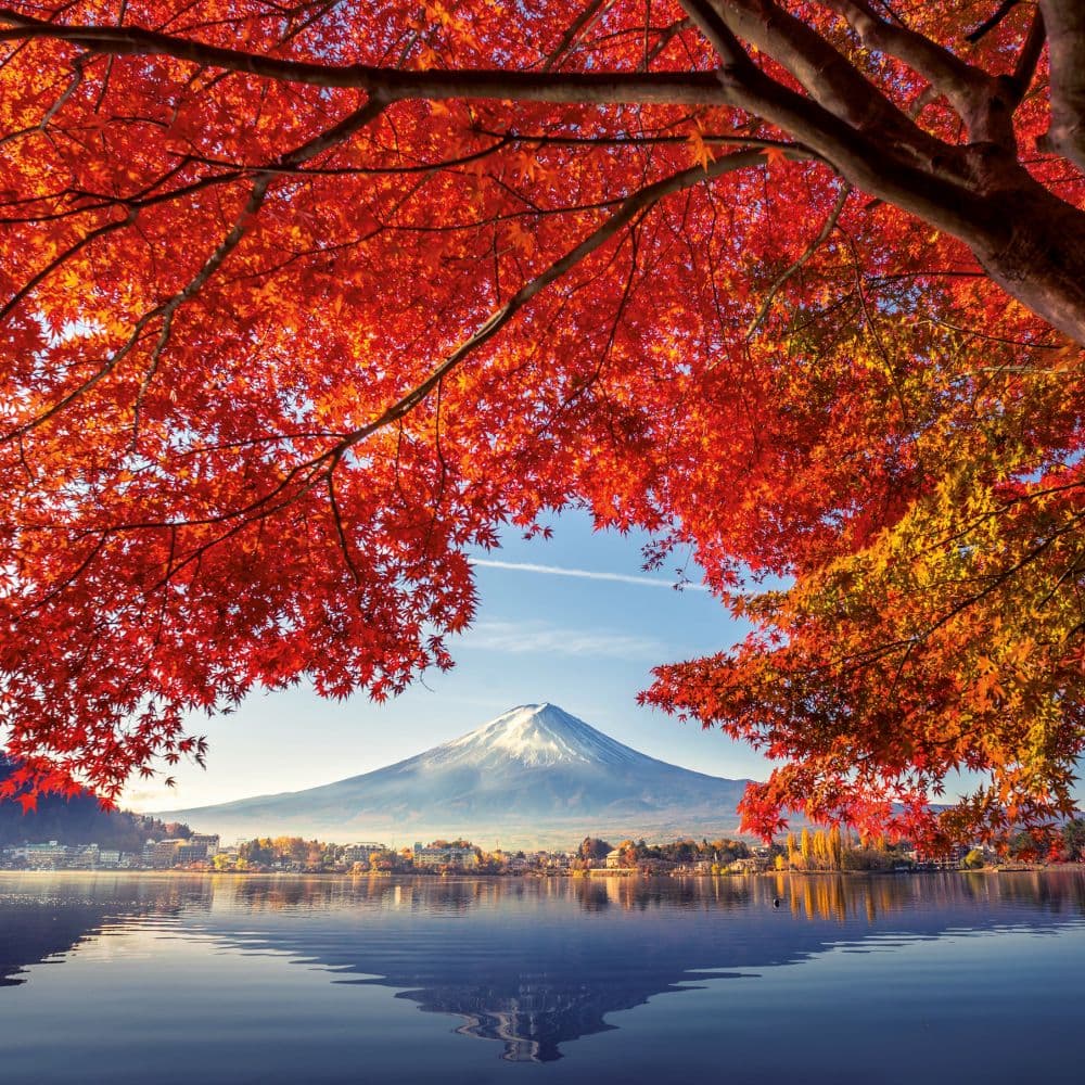 Inside Japan 2027 Wall Calendar - Calendars.com