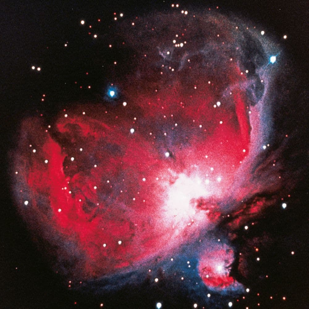 Where Stars are Born 2027 Wall Calendar Second Alternate Image