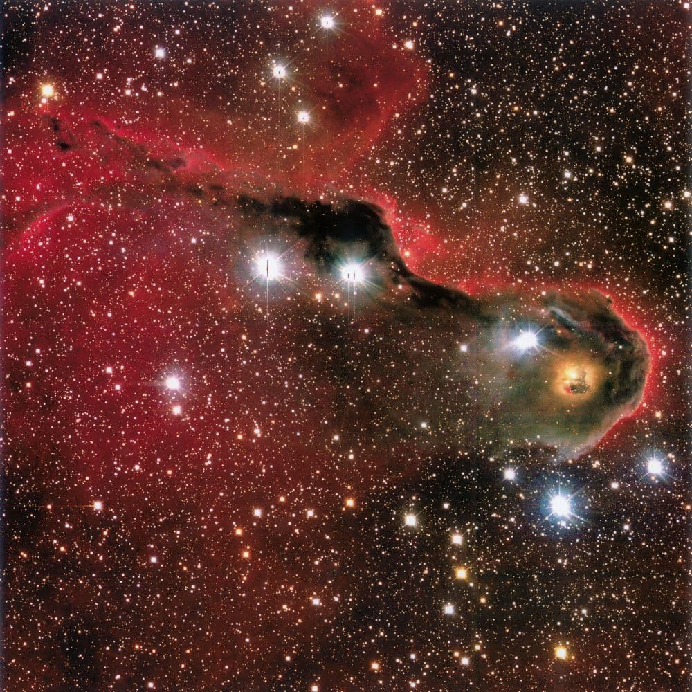 Where Stars are Born 2027 Wall Calendar Sixth Alternate Image