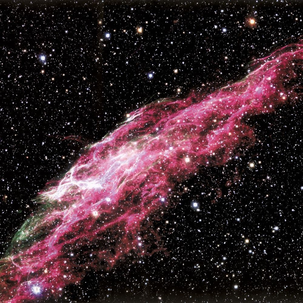 Where Stars are Born 2027 Wall Calendar Eighth Alternate Image