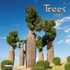 image Trees 2027 Wall Calendar Main Product Image