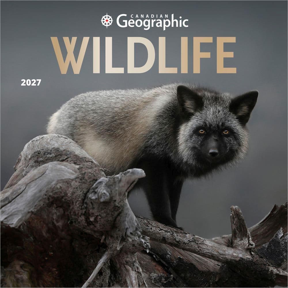 Wildlife 2027 Wall Calendar Main Product Image