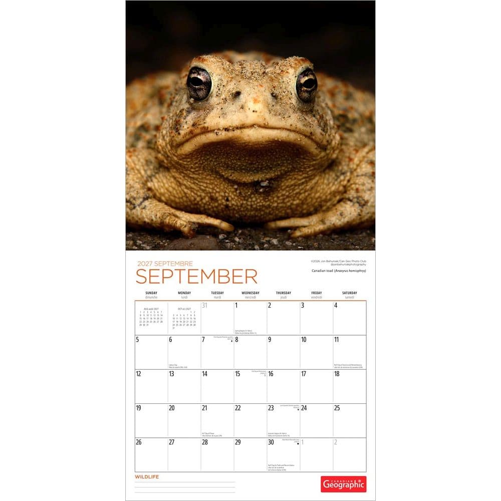Wildlife 2027 Wall Calendar Third Alternate Image