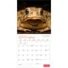 image Wildlife 2027 Wall Calendar Third Alternate Image