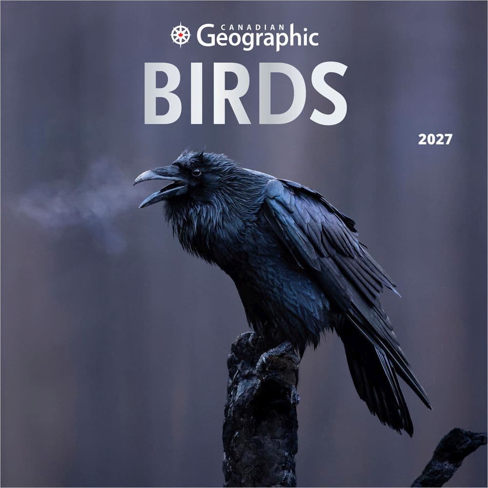 image Birds 2027 Wall Calendar Main Product Image