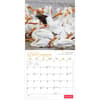 image Birds 2027 Wall Calendar Third Alternate Image