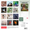 image Canadian Geographic Oiseaux 2027 Wall Calendar First Alternate Image