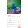 image Canadian Geographic Oiseaux 2027 Wall Calendar Second Alternate Image