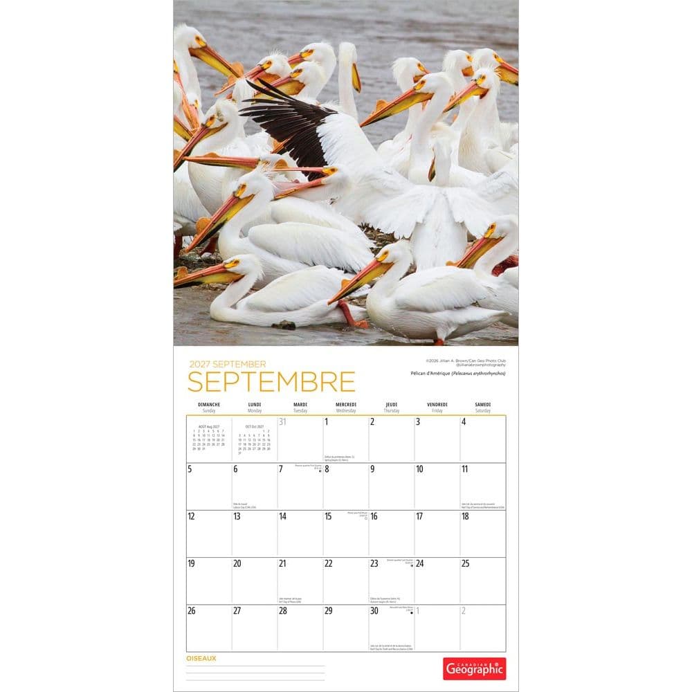 Canadian Geographic Oiseaux 2027 Wall Calendar Third Alternate Image