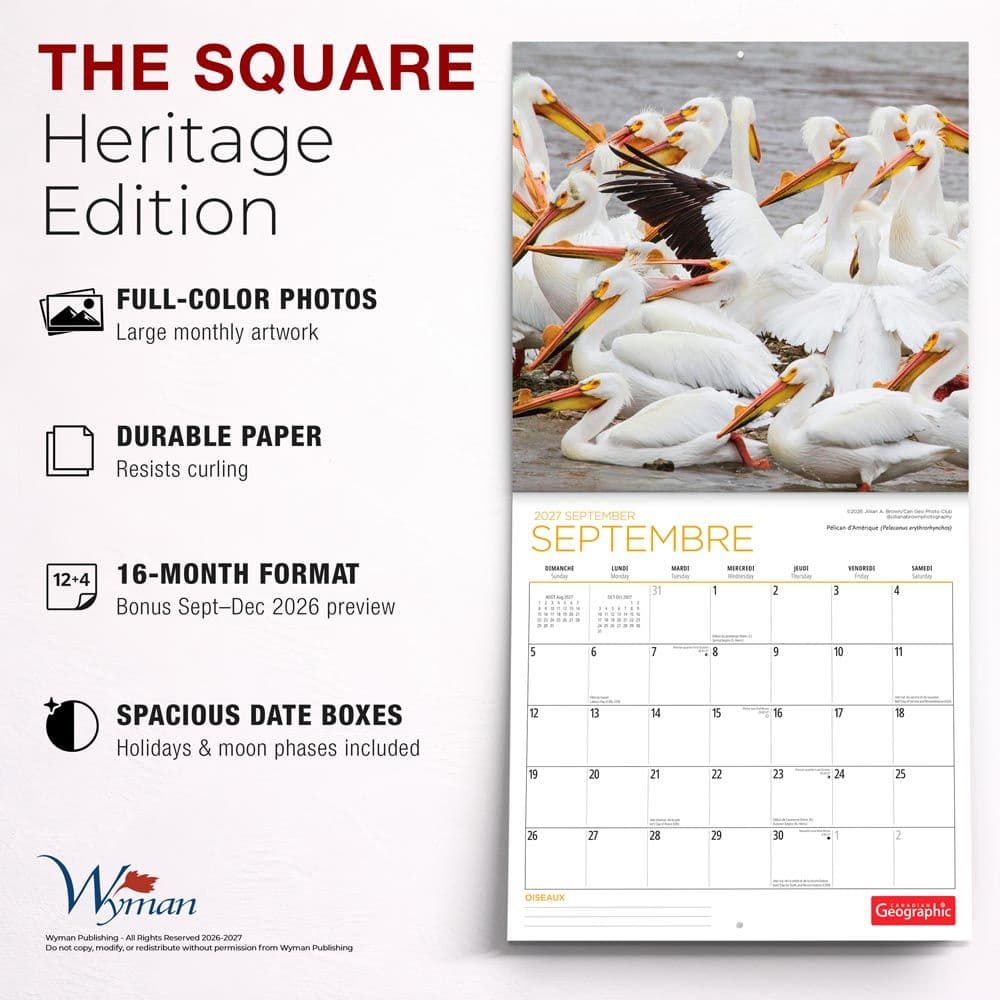 Canadian Geographic Oiseaux 2027 Wall Calendar Fifth Alternate Image