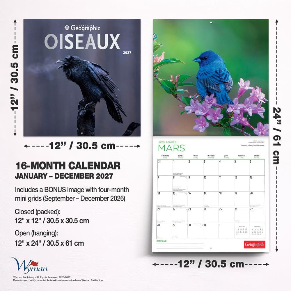 Canadian Geographic Oiseaux 2027 Wall Calendar Sixth Alternate Image