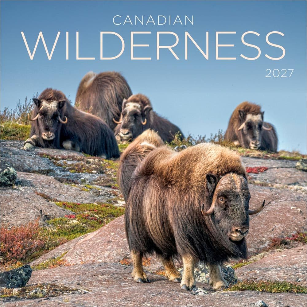 Canadian Wilderness 2027 Wall Calendar Main Product Image