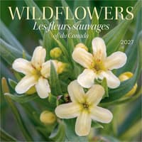image Wildflowers 2027 Wall Calendar Main Product Image