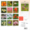 image Wildflowers 2027 Wall Calendar First Alternate Image